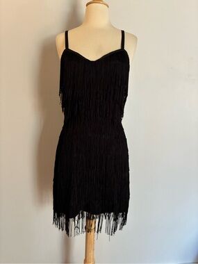 Trashy Diva Shimmy Flapper Fringe Dress